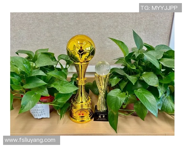 足球之星的传奇之路：从草根到巅峰的拼搏与荣耀